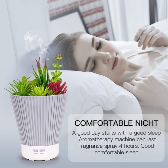 Succulent Diffuser and essential oil set - Picture 3 of 11